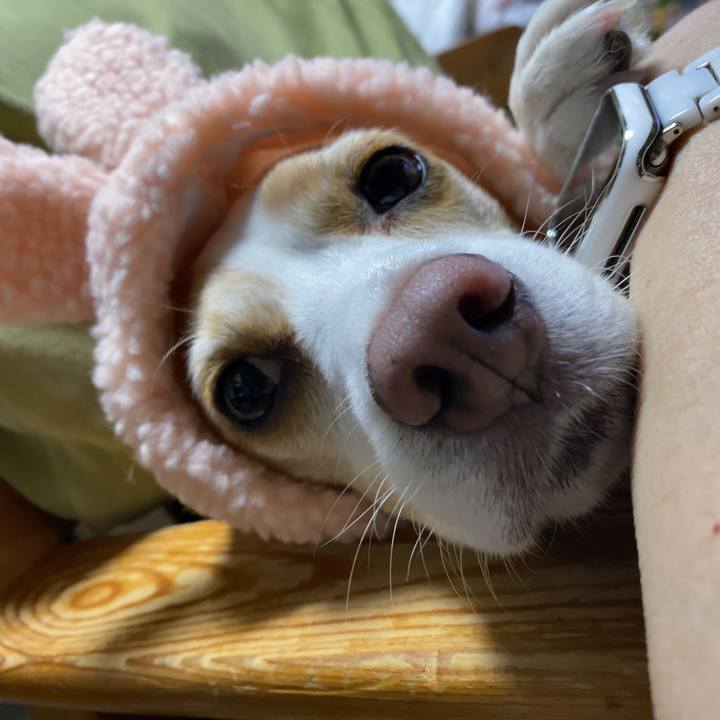 1f9496d1 d9eb 4cde b01b 97b75692a6a2 1657540958735