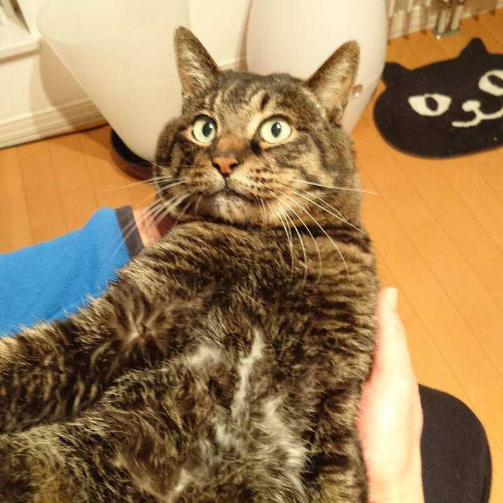 1f94af17 9285 40eb 957b ba401962d7d2 1553665210932