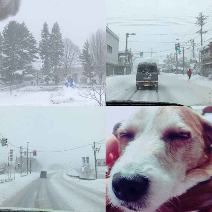 1f94e010 9b74 4712 a23f a06895ea7fc7 1514354190957