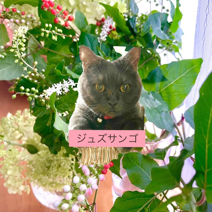 1f94ed1e 57ca 47db be4e d603fc991179 1690233995799