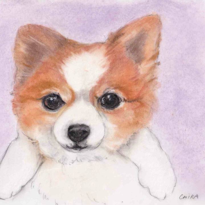 1f94fc77 d276 4f36 bf5b 27a310433a18 1609853450479