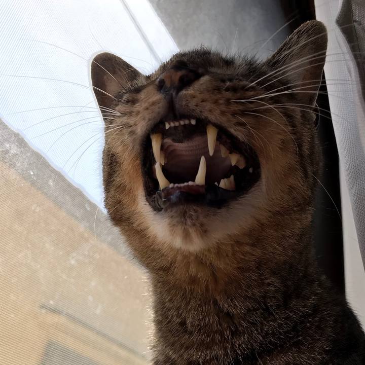 1f952e5e 8e00 4439 8e8f 17282e93bd5a 1522633477498