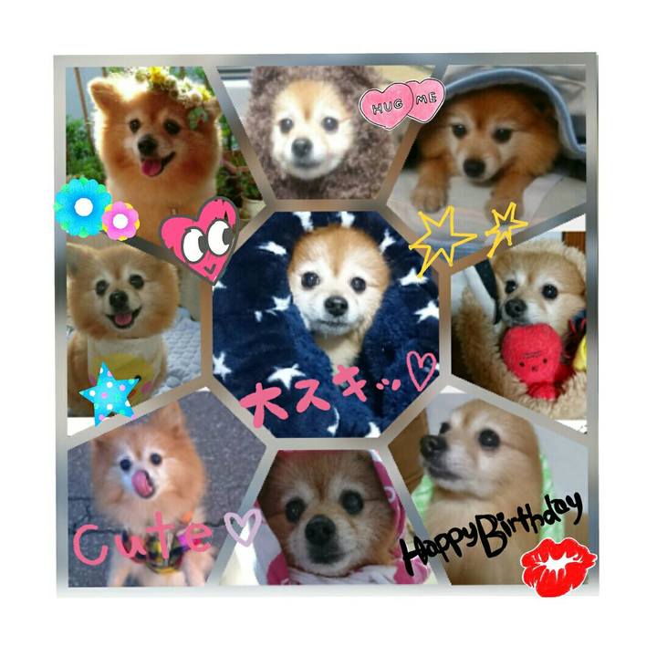 1f95467b 4e92 49a3 8f79 b4f2efdceb03 1511017936282