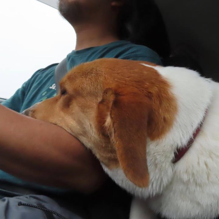 1f95a4d0 7a74 40c7 8535 ff637d74e3cf 1631839367737