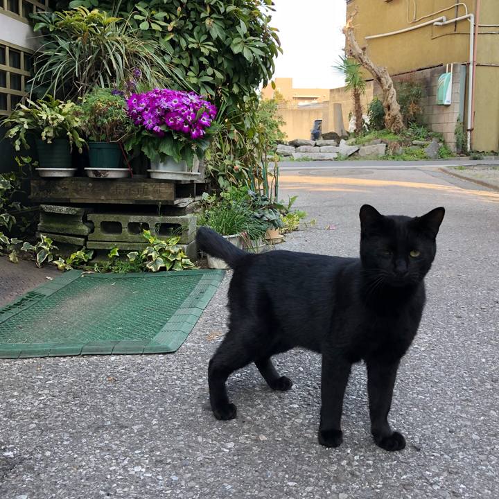 1f95aa6b 4979 4663 9708 7b7ea0249dd2 1522227734061