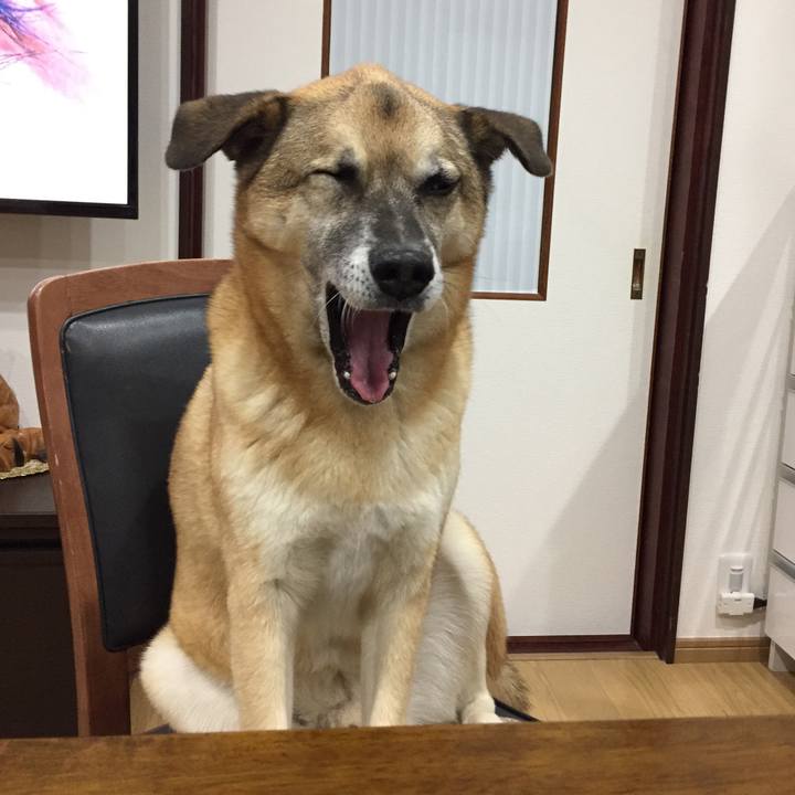 1f95f16e 829b 460a 9ef6 e746fbec69ff 1510999893110