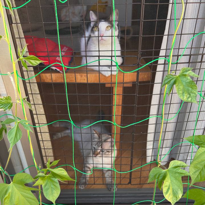 1f95f732 69f1 4826 b607 bf3738662057 1753345249038