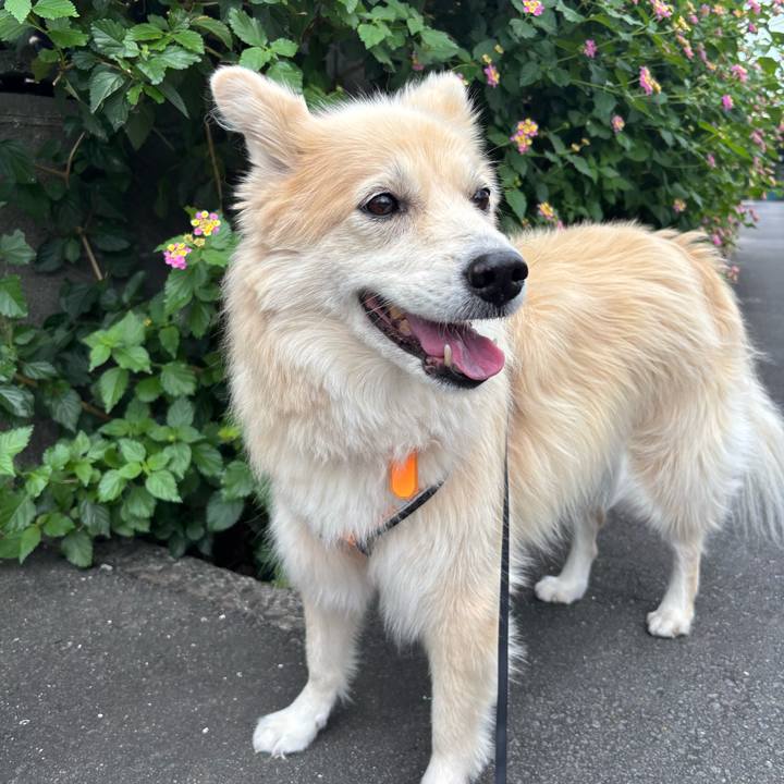 1f960eb9 e089 4f96 9e34 8d953c61ed20 1761462731285