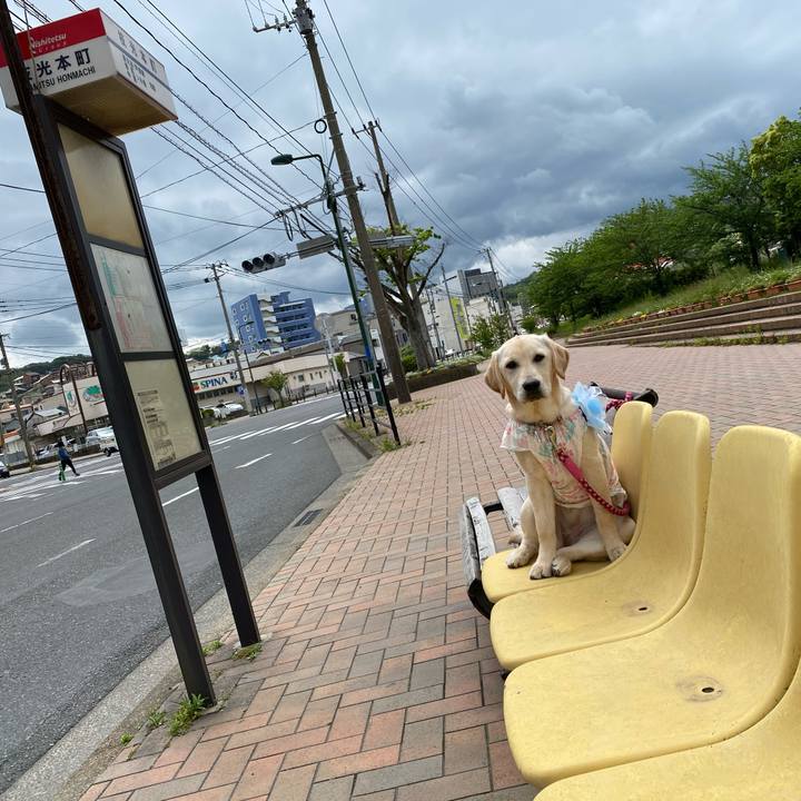 1f962ace a752 4582 8378 c5d529c8ad0d 1620132464613