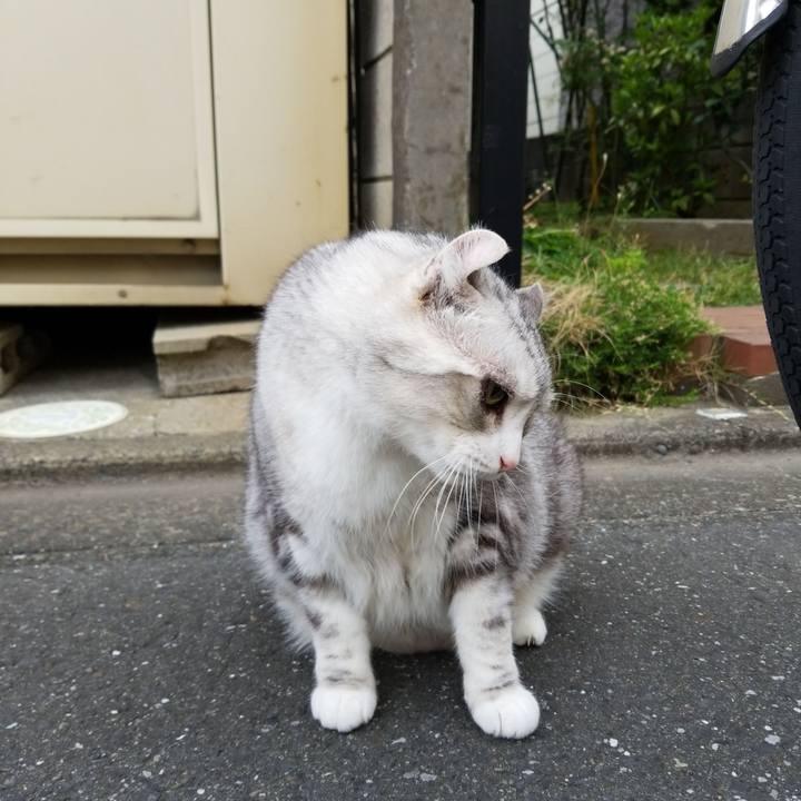 1f962b3b 9412 4c33 a9af bd046166bf84 1559256597502