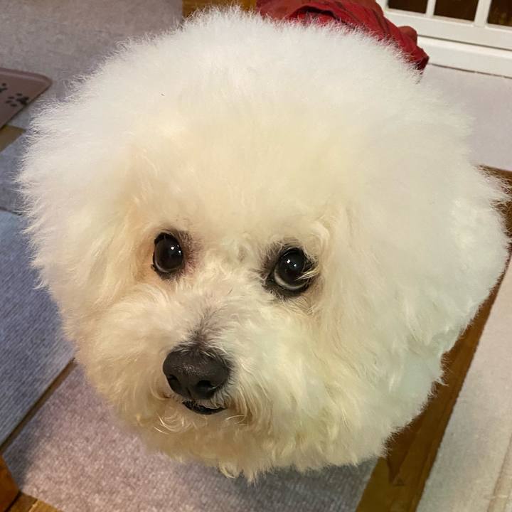 1f969173 8d79 422d adfb ba2ca181b743 1735622836024