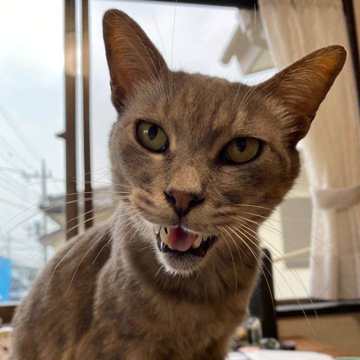 1f96b1e2 b781 417f 8d3f 7e9c352f887a 1595582808773