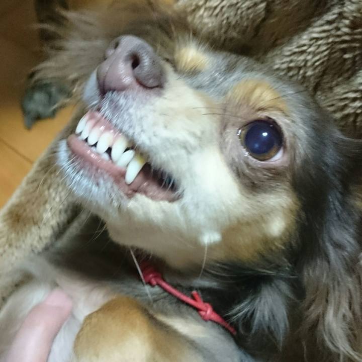 1f96c2be 06ec 4fd1 8405 5608664ba6a5 1511781217522