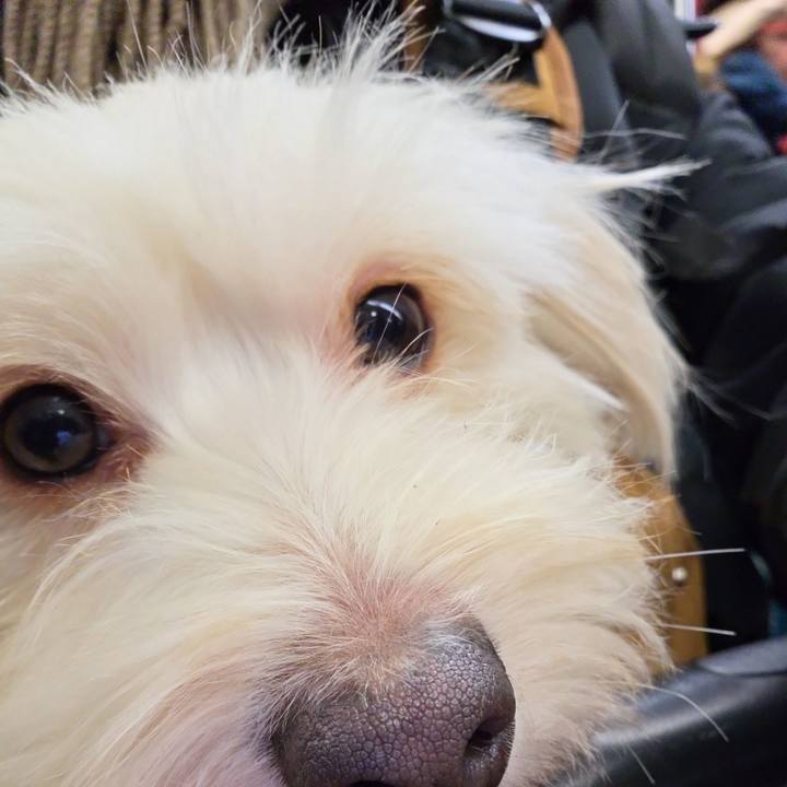 1f96fb7e c42e 49b9 80e1 e1e2be649161 1767197607264