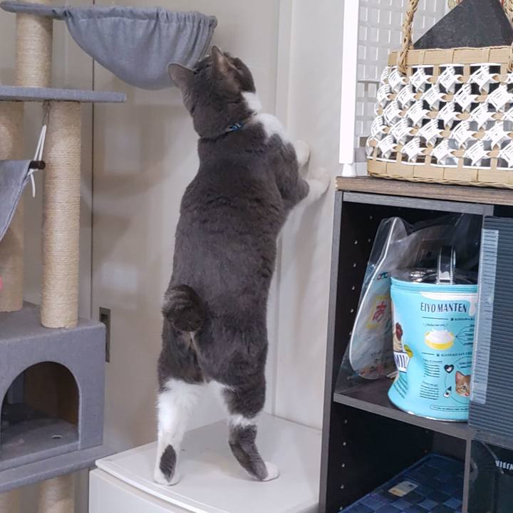 1f972248 0fda 4fd5 a155 2d957312f188 1710293451185