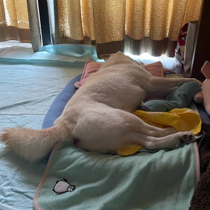 1f97305c 402d 484b 9ff0 781750cbfb5e 1634348508998