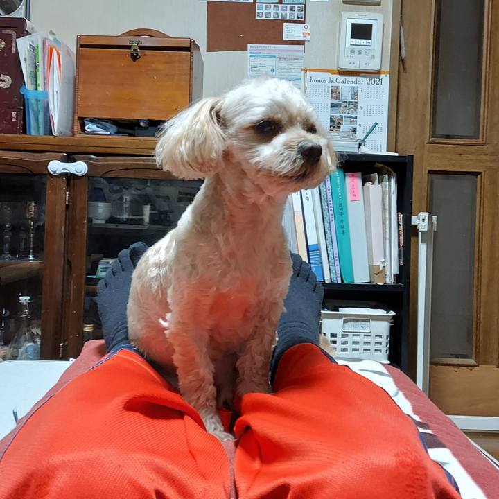 1f9745d5 3d47 44c3 98dc f4ec1e9ff570 1639958626551