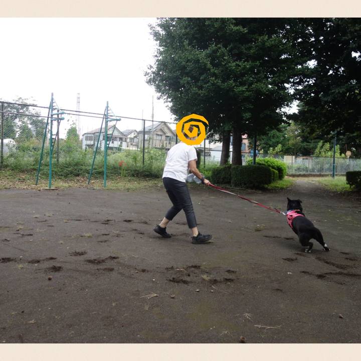 1f974e7b 41bd 4d1c a296 3a9272b6bbf8 1695517186519