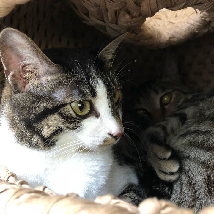 1f978796 ada4 4998 8d2d a5e9d1a2b2f0 1528722633273