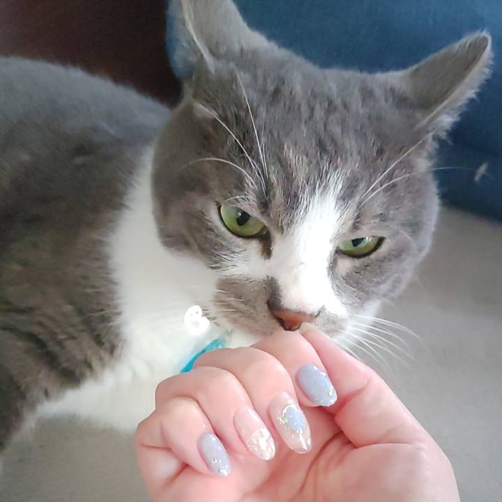 1f9799cd 95ee 4d8c 8c9a cf969ef77064 1720853461471