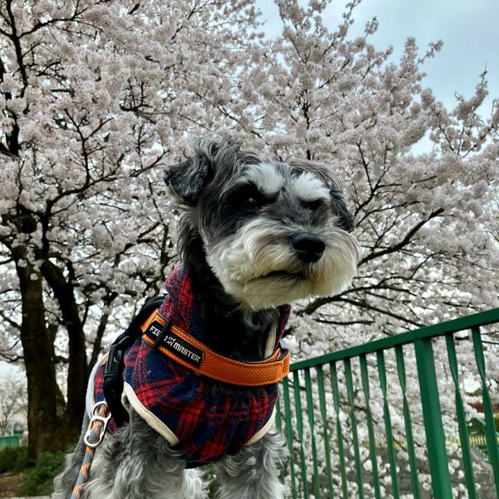 1f97ca2a 14d8 43e4 a212 c08c37e6933c 1744553316256