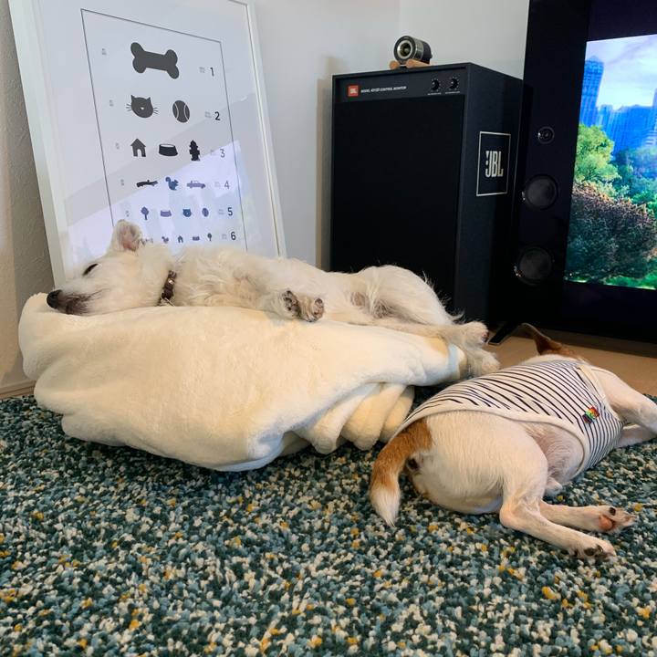 1f97d360 3ab2 459f b433 36a99d1090da 1599372851434