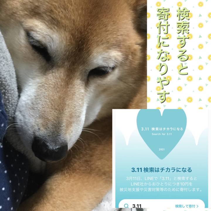 1f97db41 130a 42ae 95d7 c77e38784485 1615445870516