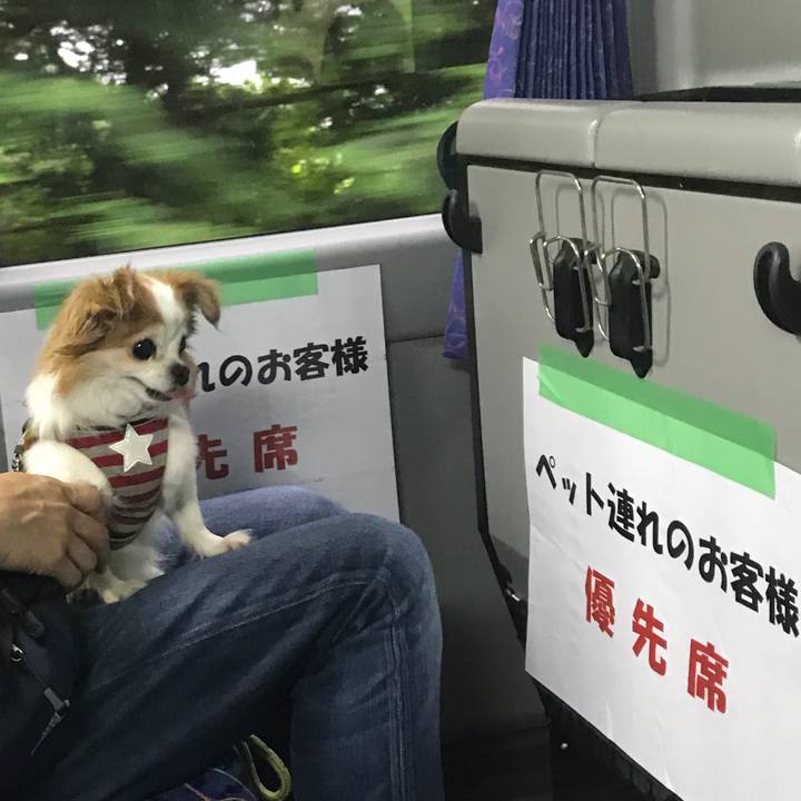 1f97e02b dad7 4f79 8bff f167aff9a372 1566024696820