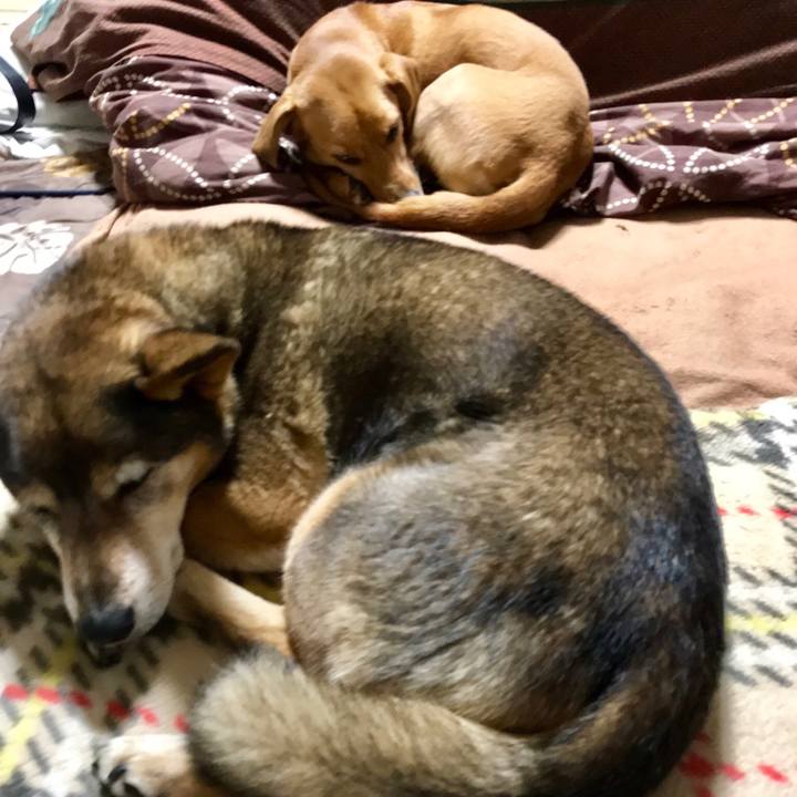 1f9809ae 88ff 4446 951b 16ff1fe32b5f 1521471693774