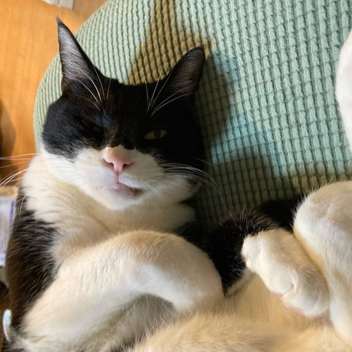 1f98117e 5459 444e b66d 6fd9dfc48256 1675408747891