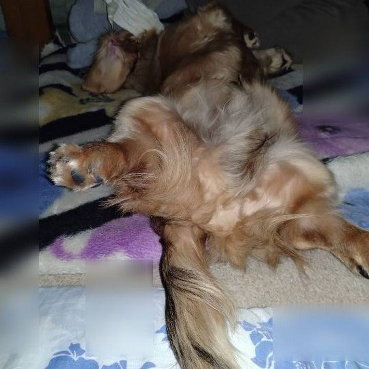 1f9827e9 ed99 4592 9774 705a621668ab 1771160061487