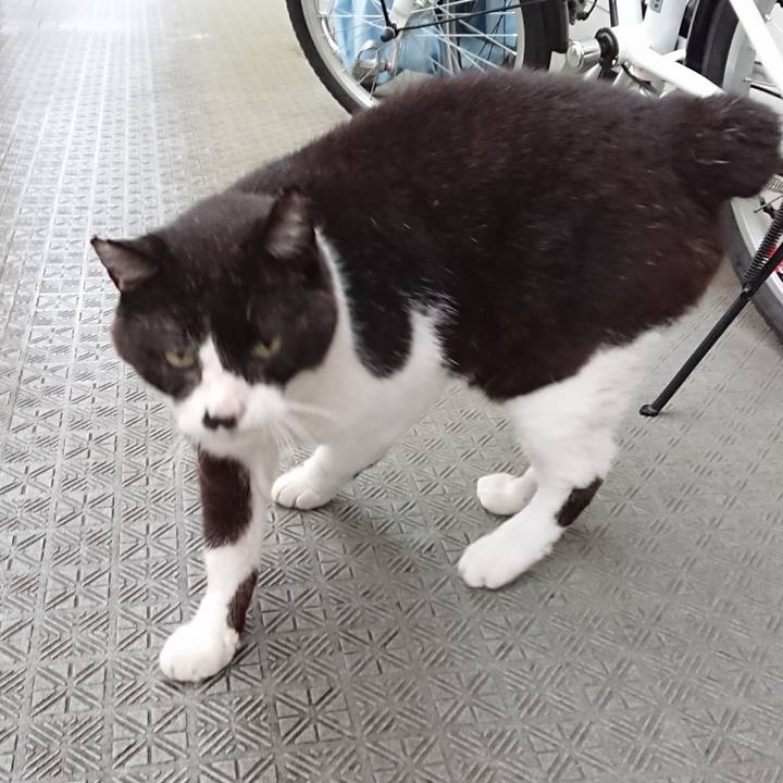 1f98467c f365 4948 b1de 6e9bc17884dc 1657926059108