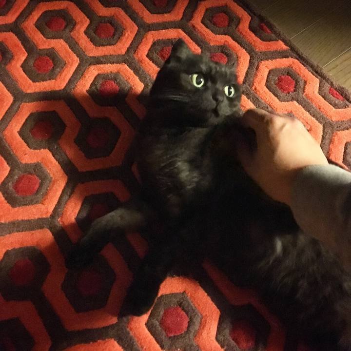 1f9867f5 82b7 4b72 bba9 45fe4af9b5da 1555117518633