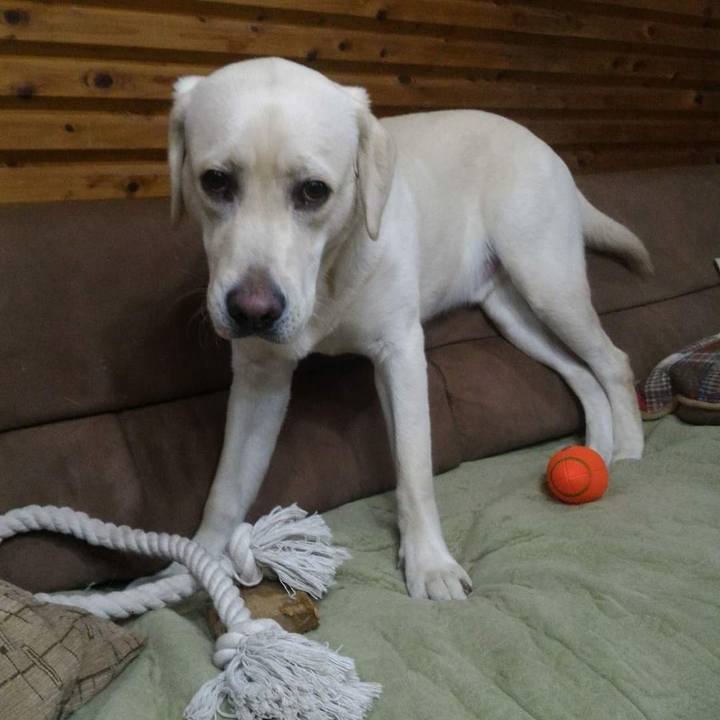 1f987264 ea6d 4bde 8ad6 22b32060de46 1671177568410