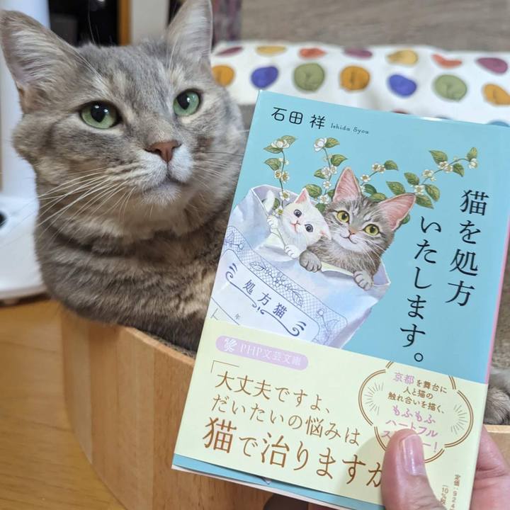 1f988fd6 513d 4cab a5b7 da0ea2fb585f 1694492226065