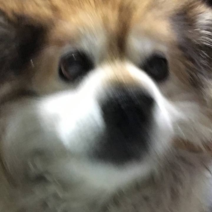 1f989e40 6b3e 4533 adbf bc2134d46a59 1608555266943