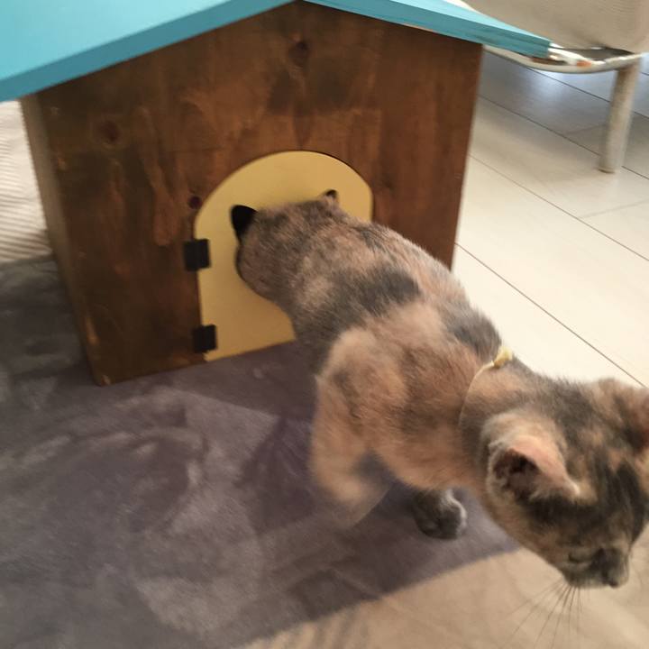 1f98b159 df97 4909 a634 b68841e15059 1575252991271