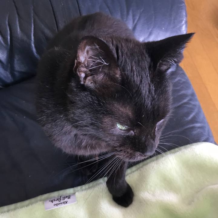 1f98d48e 8a9d 4b47 b092 0de5595ce9e7 1533354423134