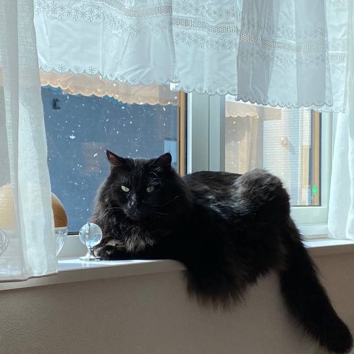 1f98f364 257d 45b6 a5ea d12e172159ab 1615172642817