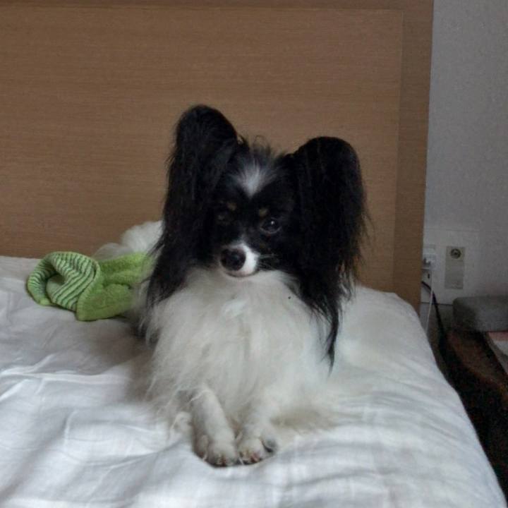 1f9931cd 0eff 4a41 bdb8 ea22bc71fb5d 1536271388398