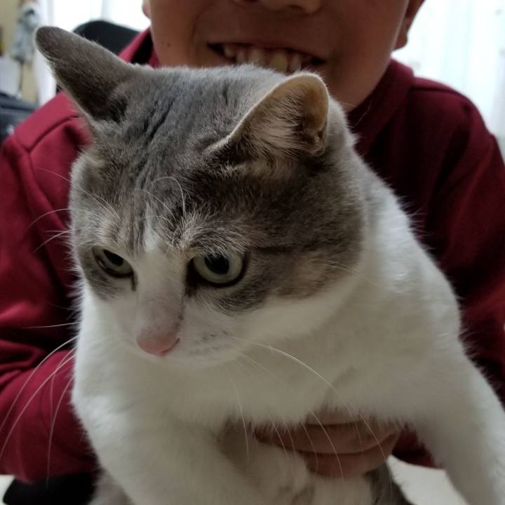 1f99441c a89f 48c2 a7e1 6c179f73bdf4 1547967680629