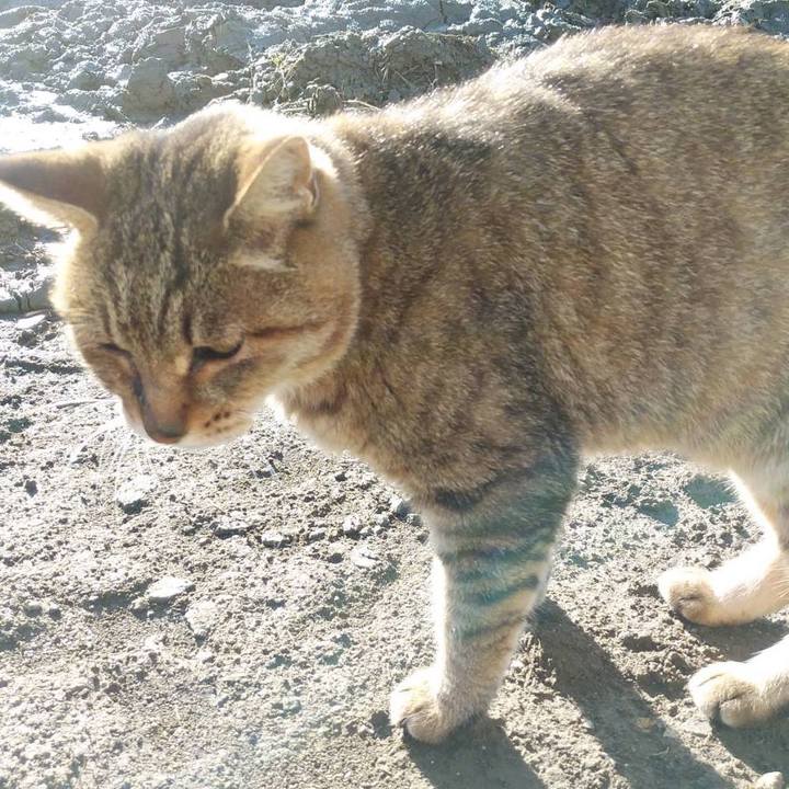 1f997f52 4581 4277 968a 08f4d4736b51 1573516324201