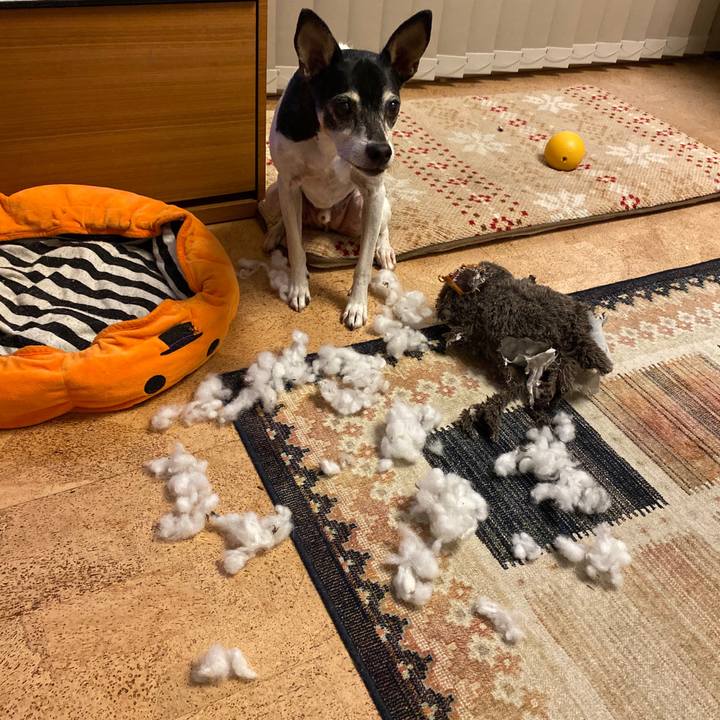 1f999dbb 9812 4f4c a1b0 8498c3176576 1605009775295