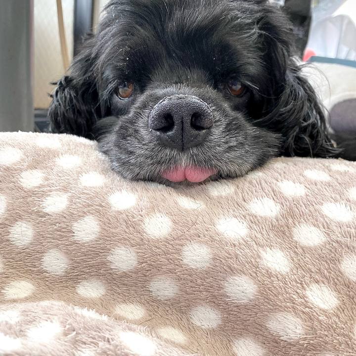 1f99aed1 540f 4427 9a73 03877d616b36 1632796845336