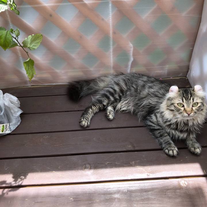 1f99aede b2fc 4001 81d4 6ec9f717324c 1527470785096