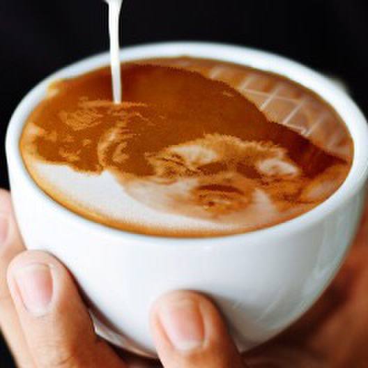 1f99e54a 0226 4674 89c6 7ea1c3297043 1570025754279