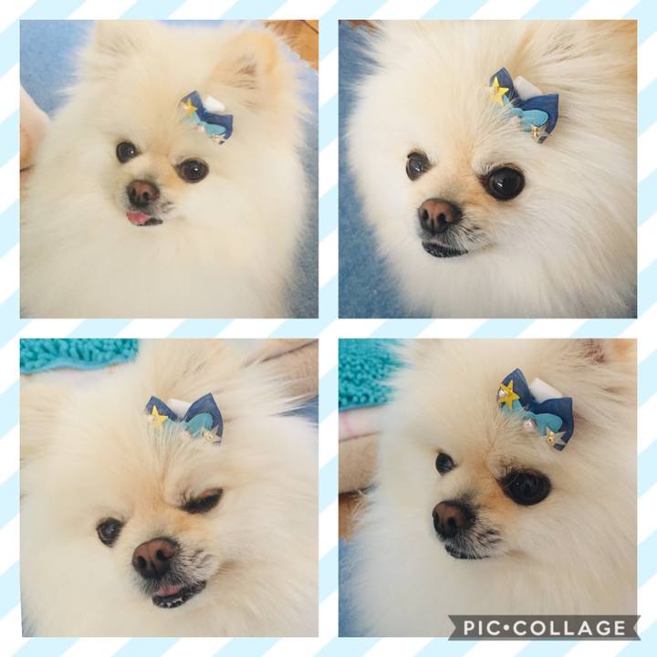 1f99f323 1d00 482c 8aed 86a074f3f66d 1587357348039