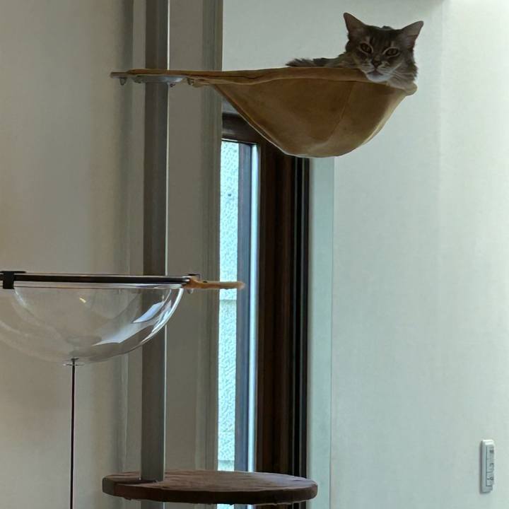 1f9a131a 3320 49d1 adba 46c2af5d4681 1769735738639