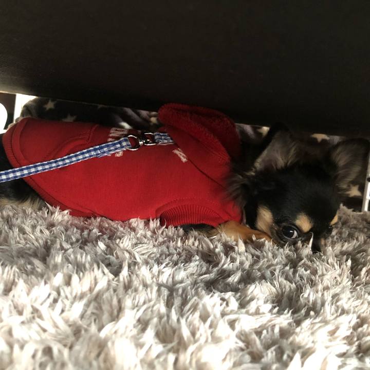 1f9a34fc 04be 4be1 9d9e a7dd89053182 1542507160853