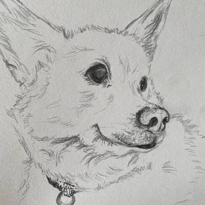 1f9a5cd8 c4ea 4e4c b899 88670bc3cd75 1641048078640